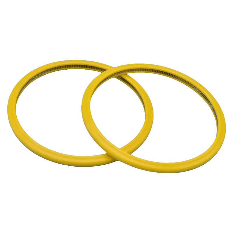 PTFE/F4 Spring Energized Seal  PTFE Piston Seal