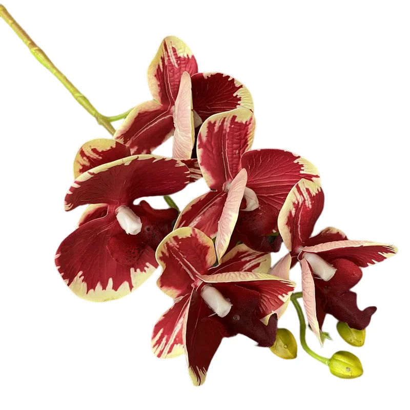 Floral Decor 5 Heads 3D Printing Artificial Flowers Phalaenopsis Orchid Real Touch High Quality