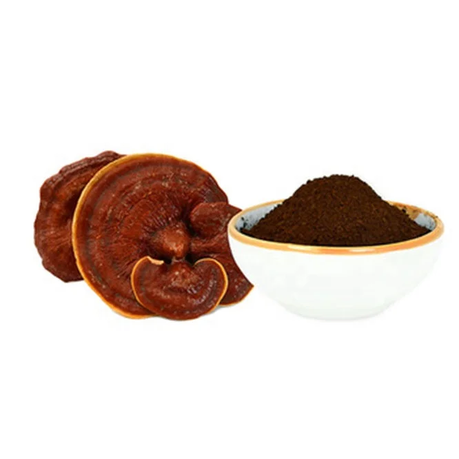 Qin Shantang чистый натуральный порошок из ракушки разбитого Рейши для продажи