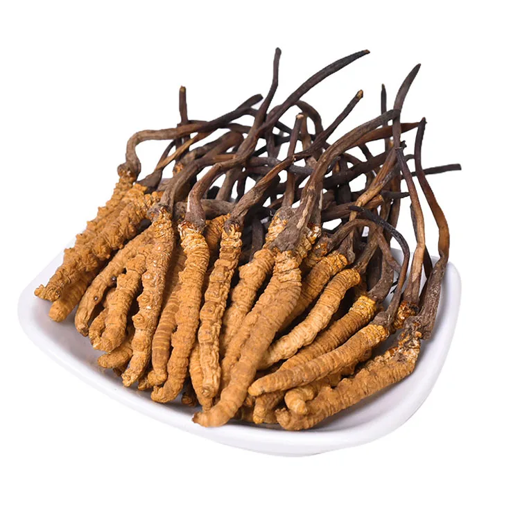 500g Tibet Whole Plant Cordyceps Natural Tiens 100% Herbal Cordyceps Sinensis