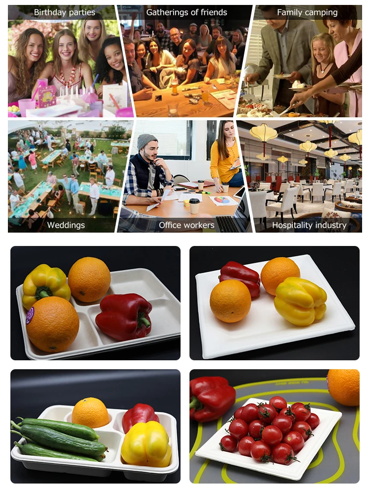 
Chinese Oval Plate Customized-size Biodegradable Disposable Eco-friendly Sugarcane Bagasse Plates Dishes Tableware 