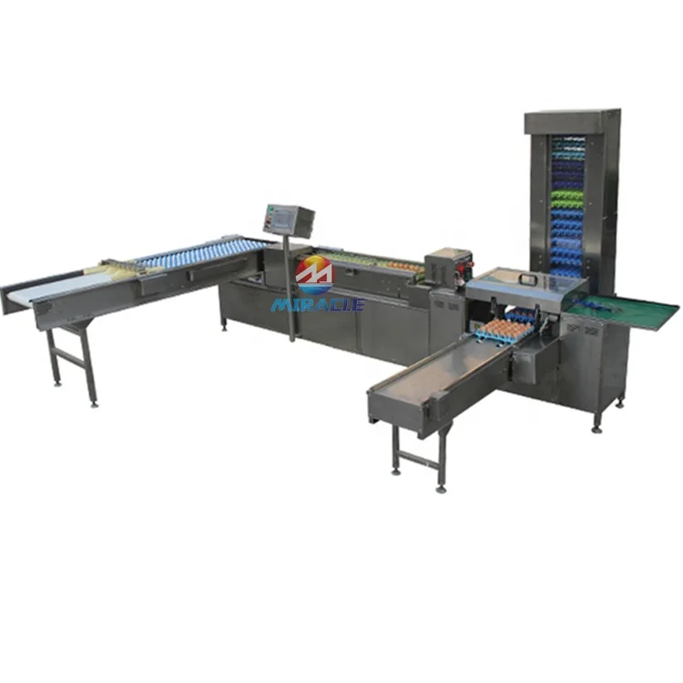 Commercial Customized Egg Grading And Packing Machine