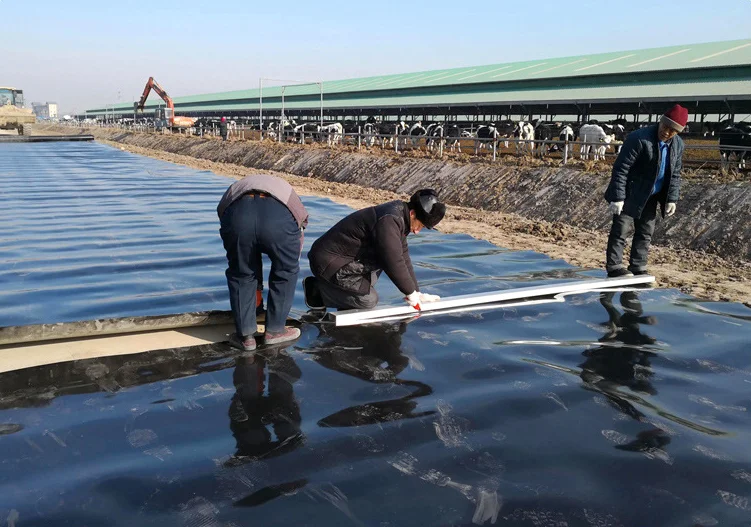epdm liner pond hdpe waterproofing plastic geomembrane sheet for aquaculture pond liner