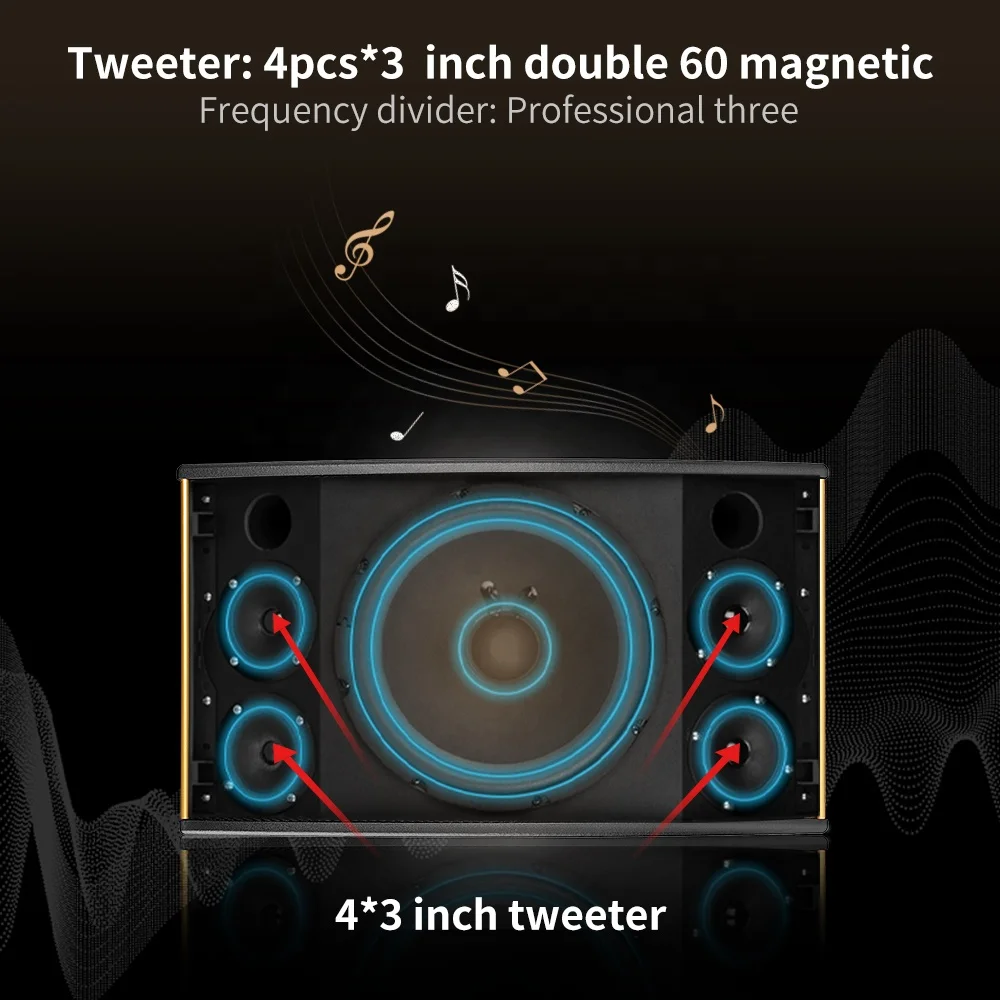 InAndOn 10 inch Black Matte Iron Mesh Professional KTV Karaoke Audio Set Entertainment Set Sound Equipment Home Theater Speaker