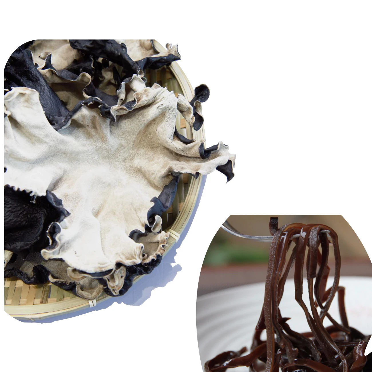 
Dried White Back Agaric/Black Fungus for Buyers 