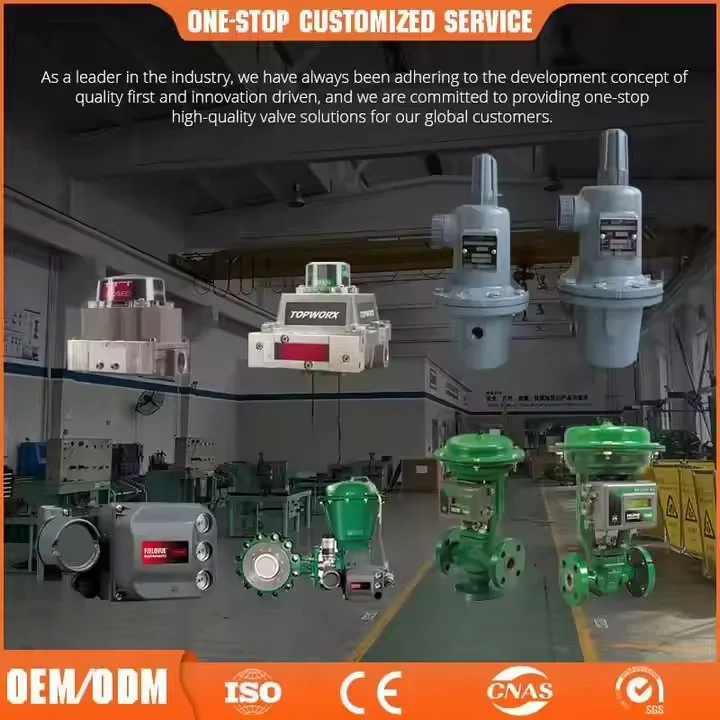 Emerson Rosemounte Electromagnetic Flow Meters 8750w Series for Tap Water Applications All Sizes Can Be Customized