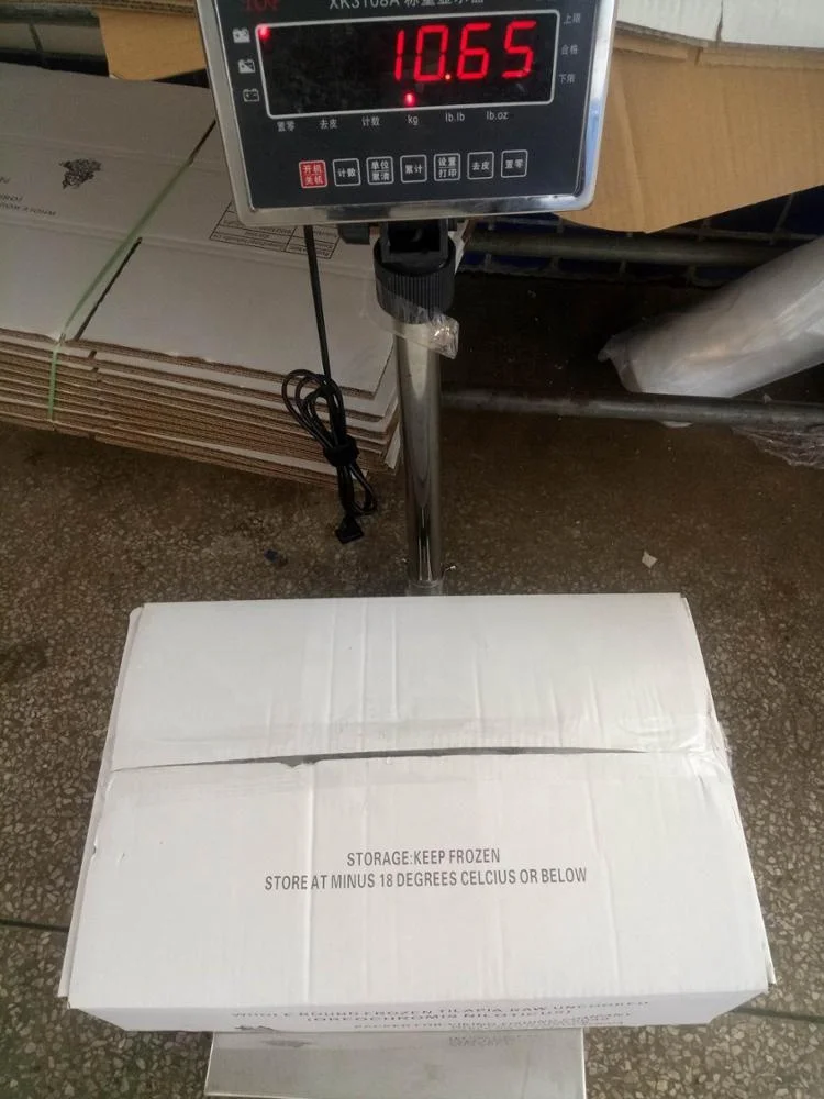 China Export Frozen Fish Frozen Black Tilapia