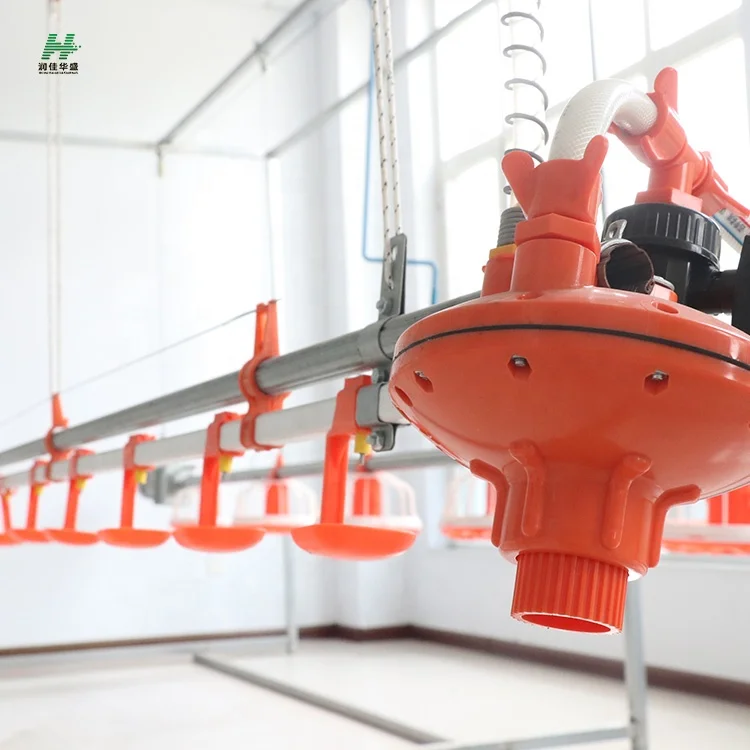 Fully Automatic Poultry Farming Feeding Line System Animal Feeder for broiler chicken