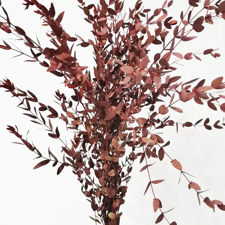 Summer Flora  hot sale new product long lasting Greenery Hanging Eucalyptus leaves preserved plants