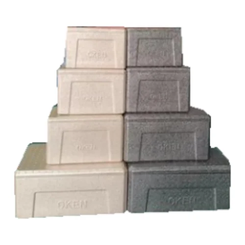 Customized Epp Insulated Foam Cooler for Transportation Box Freeze Food Epp Foam Cooler Thermal Insulated Shipping Box