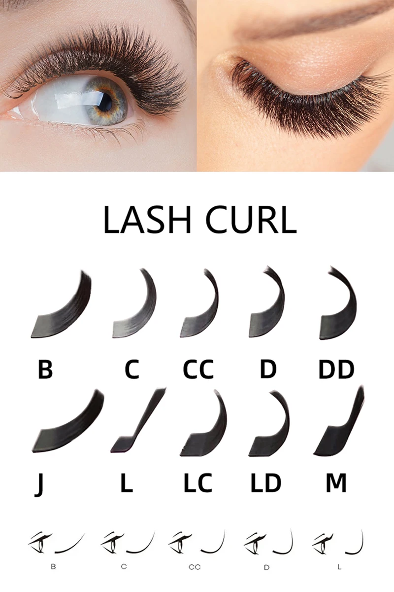LashPlus  productos mas vendidos en usa cilios posticos natural camellia korea eyelash extension