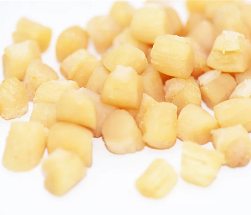 Wholesale 300-400 Pieces/500g Dried Scallop Sea Scallops Dry Dried Scallops From Gaishi