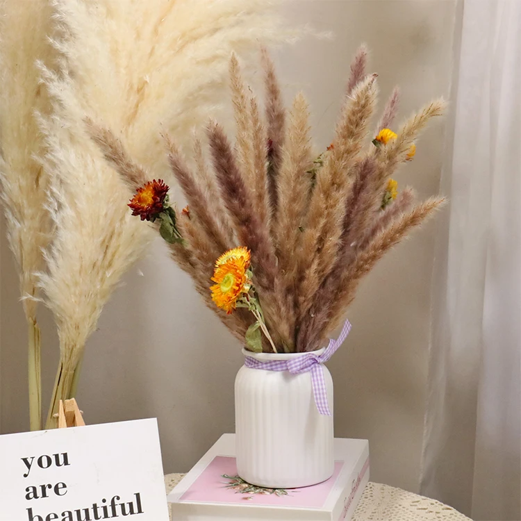 GH-17 Hot sell small pampa grass arreglos florales natural dried pampas grass dry reed for home and wedding decorations