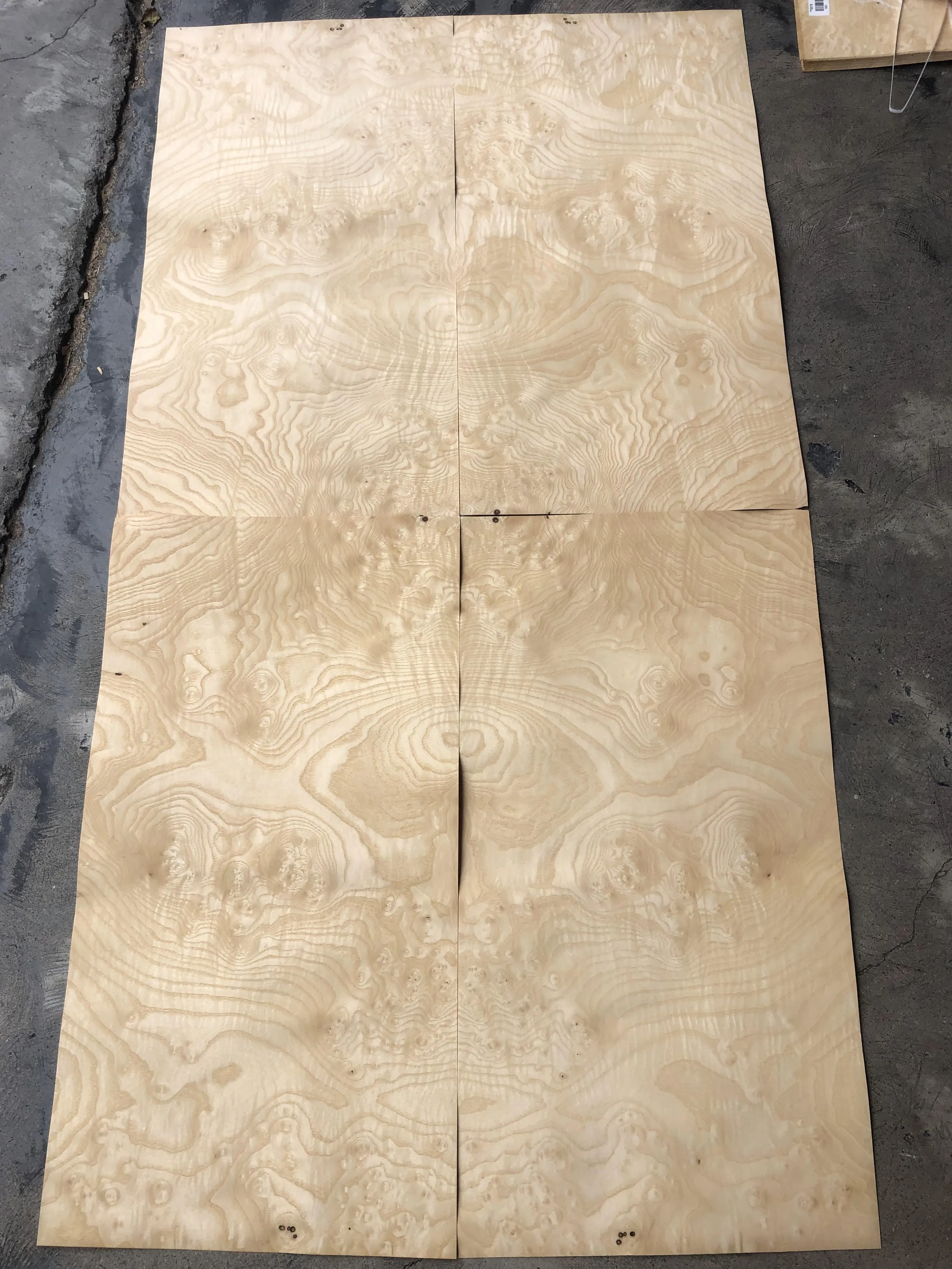 New Arrival Natural Ash Burl Veneers Sheet Veneer Wood AA Natural White Ash Burl Wood Veneers Flooring Furniture