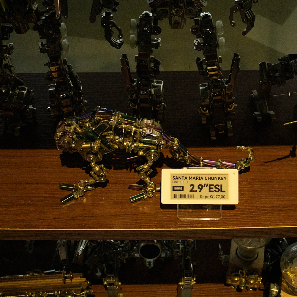 Supermarket E Ink Digital Price Tag Electronic Shelf Label Epaper Demo Kit Esl Display System