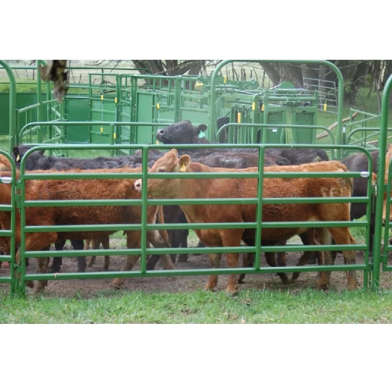 Canada USA Hot Selling 12 Ft Heavy Duty Livestock Panel Fence,Galvanized Horse Sheep/Cattle/Goat Corral Round Pen Panel Factory