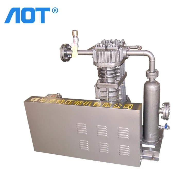 Custom China Manufacturers Biogas Compressor 250bar Methane Gas Digesters Methane Compressor for Sale