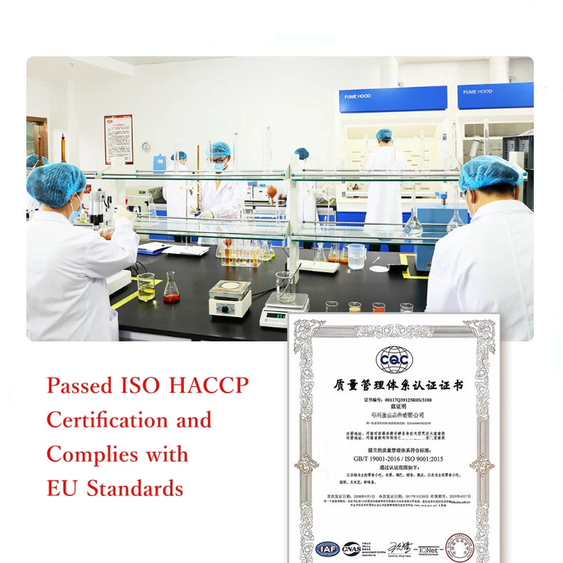 Crispy Spicy Stick Snack Instant Hot Spicy Strips Gluten Spicy Chinese Latiao Snack