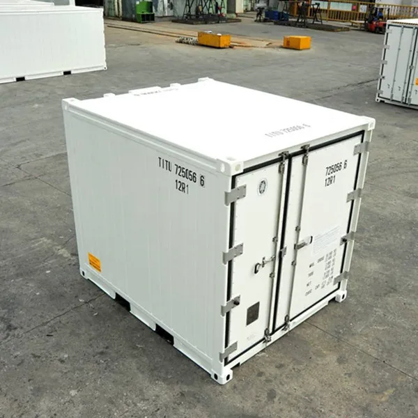 10ft 10RF Refrigerated Reefer Shipping Container with Carrier ThermoKing DAIKIN Cooling machine
