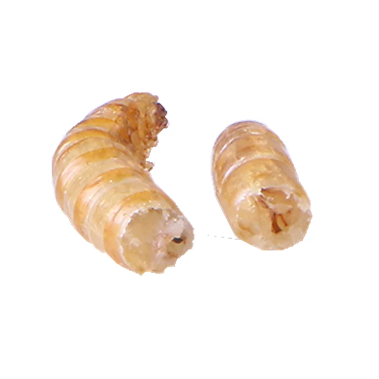  Сохнущий протеин для пищевых продуктов mealworm