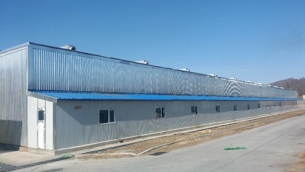 Hot Sale Drying Wood kiln Wood Drying kiln Germany control system wood drying kiln for sale