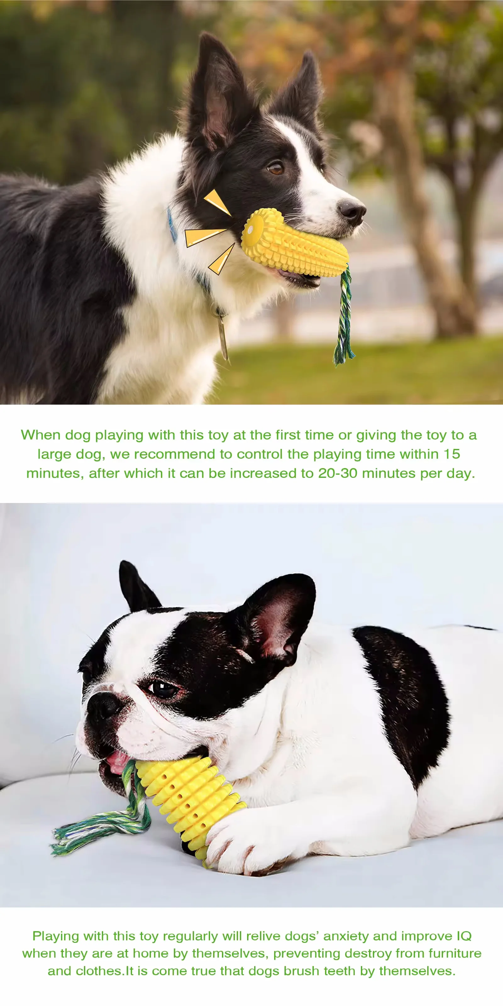 Hot Sale Corn Shape Puppy Chew Toy TPR Pet Dog Molar Toy Dog Interactive Toothbrush Toy