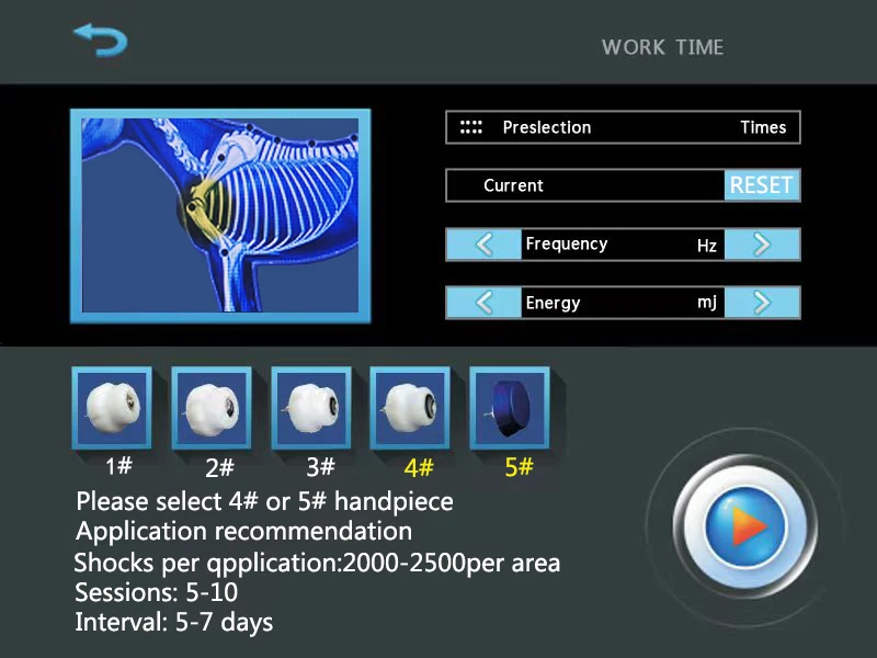 Professional Horses Shock Wave Device Ed Eswt Cellulite Reduction Focused Shockwave Therapy Machine Erectile Dysfunction