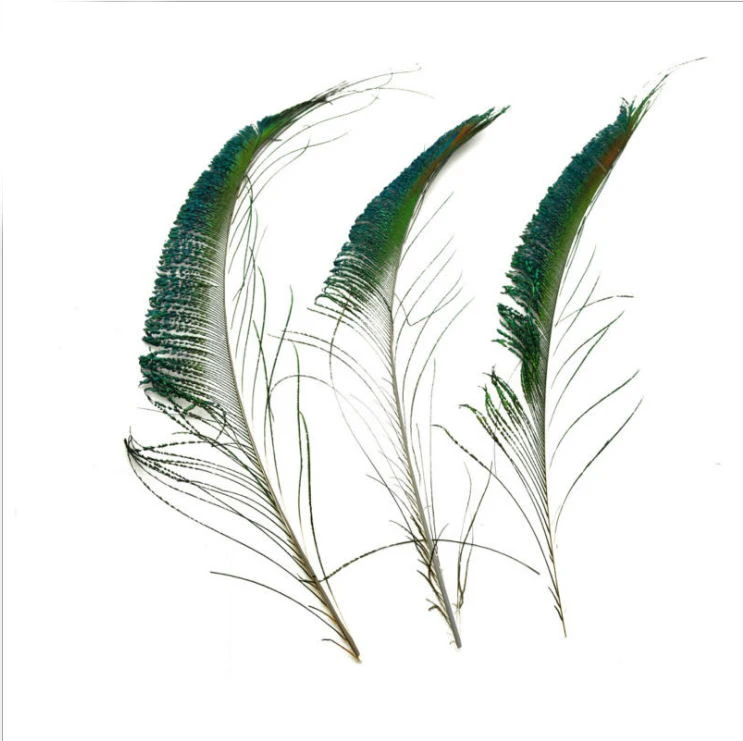 Wholesale 30-35cm natural peacock sword feathers for decoration