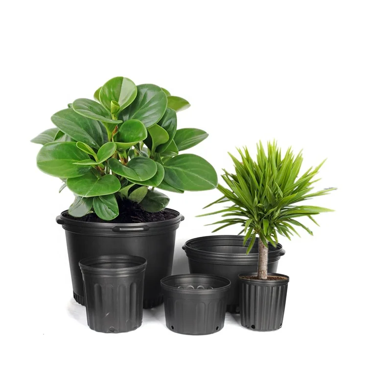 
Garden Pp Plastic Small Large Tall Round Square Tree Outdoor Flowerpot Planter Sizes Inches To Gallons Plant Nursery flower pot 