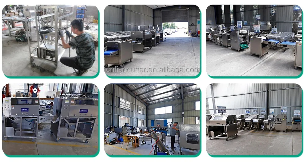 weight sorting grading machine for pangasius fish fillet