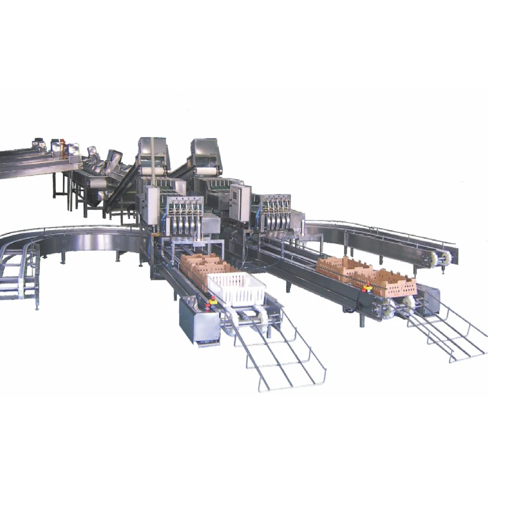 high efficiency low cost poultry chicken chicks farming raising growing processing machine plant machinery equipment