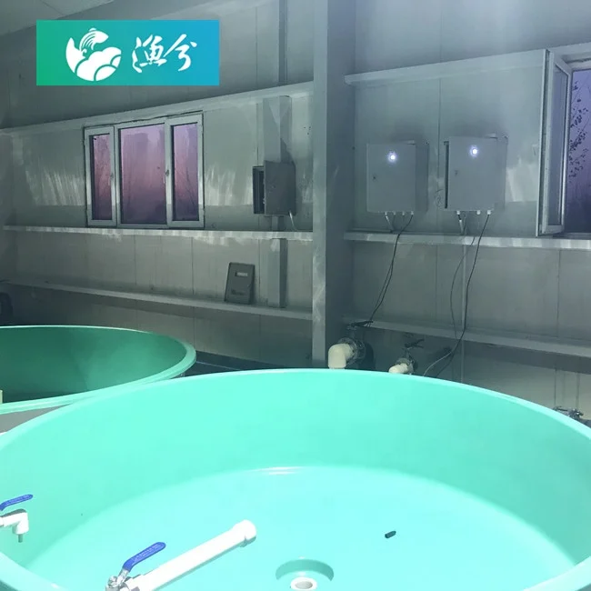 Indoor economy circulating water environment-friendly aquaculture system high-density shrimp system