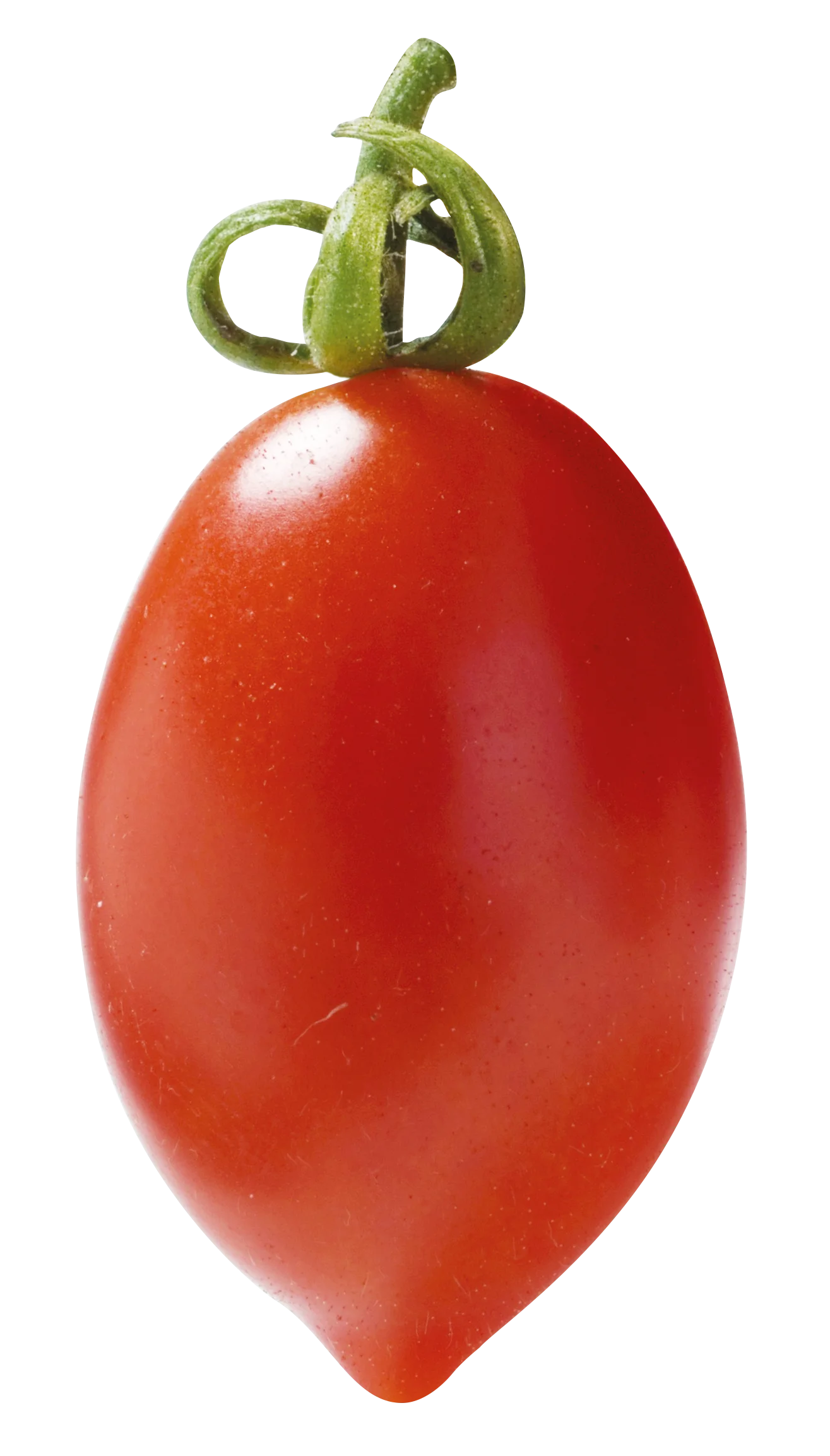 Premium italian foods Condiment Ready fresh Peeled Datterini Tomatoes Sauce 400g can for Wholesale