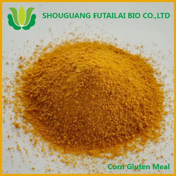 
Corn gluten meal manufacturer fish meal price aquarium fish exporter for animal feed 