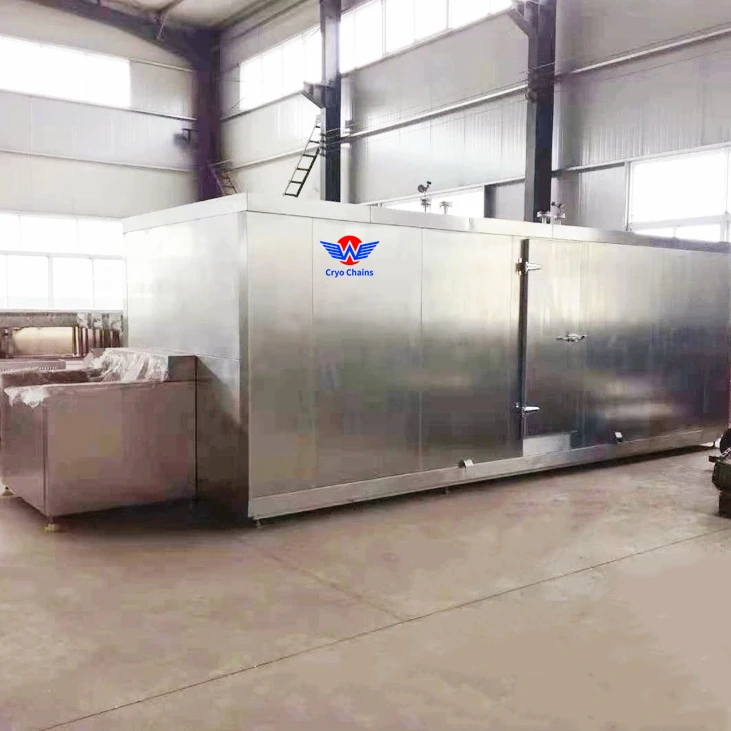Freon быстрая замораживание фруктов и овощей обработка iqf туннельный контейнер для быстрого замораживания мяса
