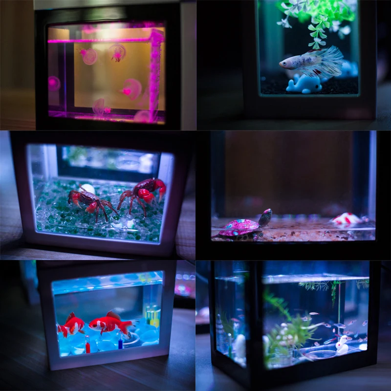 Mini Multicolor Stackable Building Blocks Ecological Creative Aquarium Fish Spider Tank Small Reptile Pet Box Home Decoration