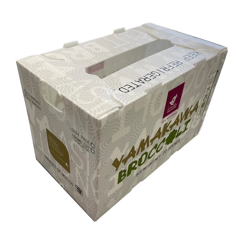 Polypropylene plastic box organic vegetable foldable honeycomb pp grape packaging banana plain corrugated box for fruit