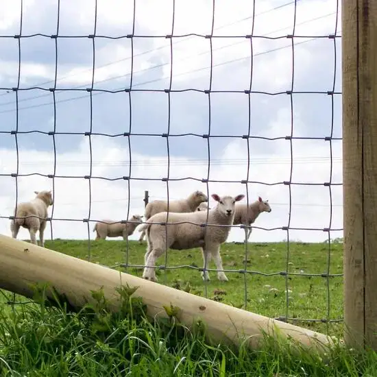 livestock deer fence 8ft field fence posts High Tensile Galvanized Steel Wire Mesh Grassland Fence goat proof
