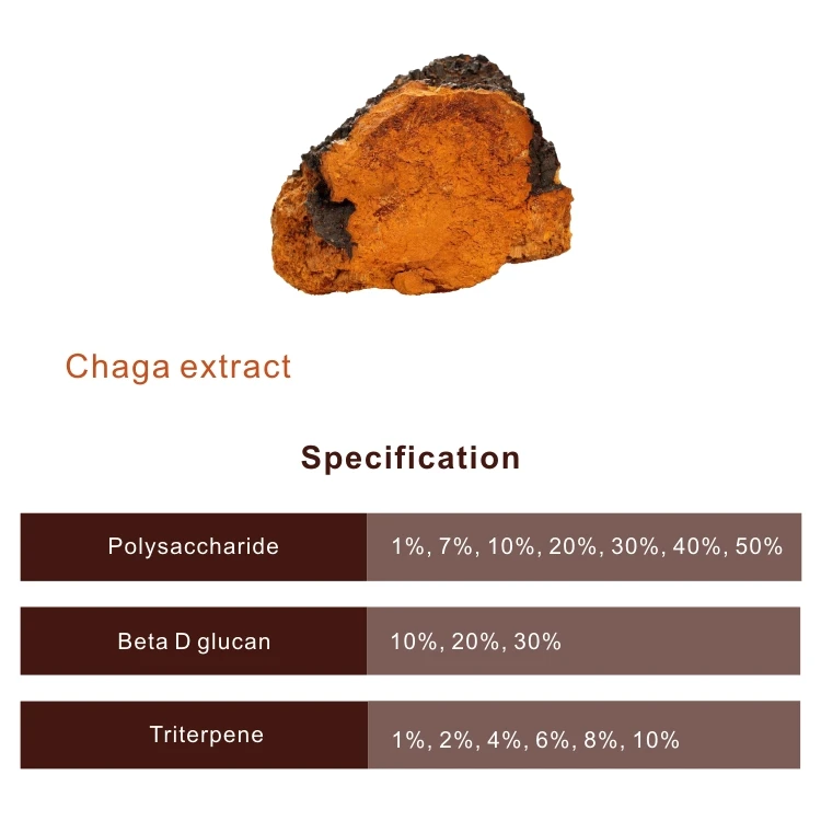 
Immunity enhancing wild siberian chaga/chaga extract polysaccharides 
