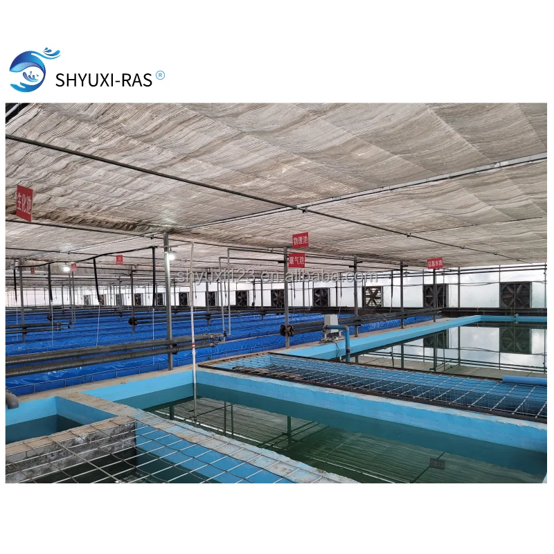 
High Density Recirculating Aquaculture System salmon Farming indoor RAS 