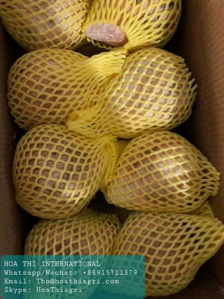 One Year Shell Life Semi Husked Coconut From Vietnam High Quality - Best Price for Export Origin From Vietnam
