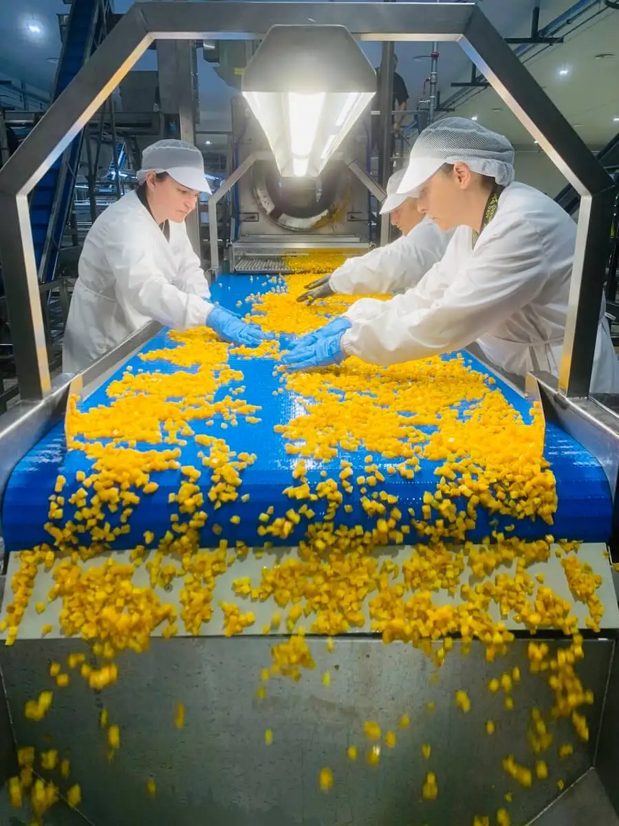 Wholesale Nutritious Frozen Peaches Frozen Yellow Peach IQF Peach Available for Global Shipping