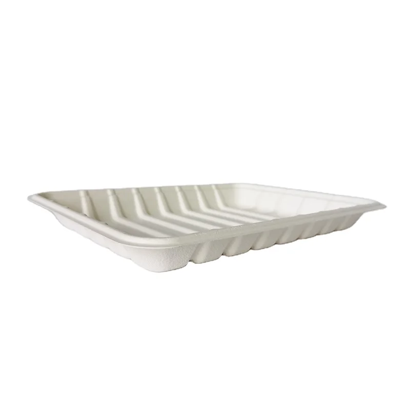 Biodegradable and Compostable Sugarcane Pulp T260 Tray