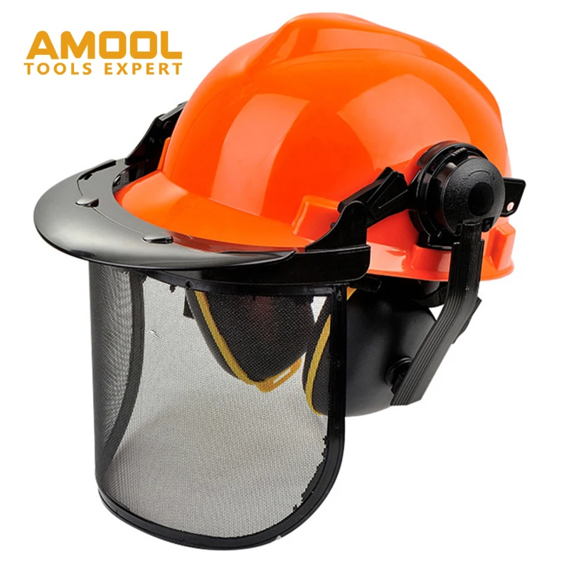 CE Certification Hard Hat Forestry Safety Helmet with Ear Muffs