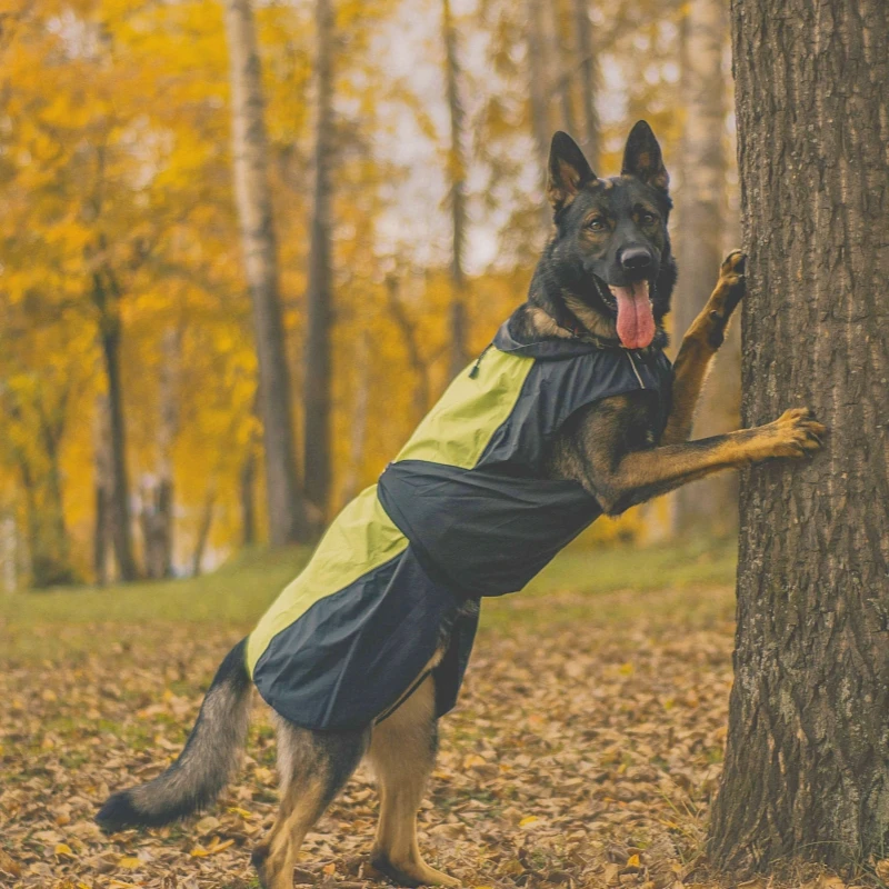 Truelove High-quality Secure and Warm Dog Coat Reflective Material Dog Jacket Windproof with 3M Winter Jacket Winter Clothes