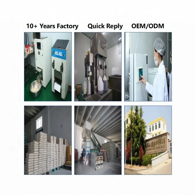 Wholesale High Quality Green  vigna green beans Mung Beans green moon skinless split green mung bean