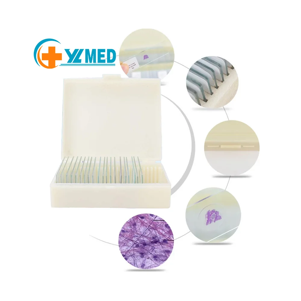 bIology high quality Lab Educational factory cell and genetics usb microscope biology slides with low price for Student Study