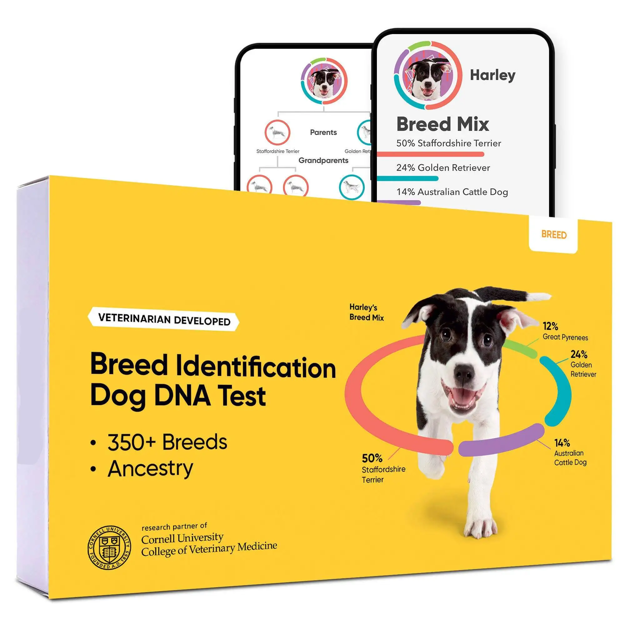 Breed Identification Kit Most Accurate Dog DNA Test Test 350+ Dog Breeds Breed ID Kit with Ancestry & Family Tree