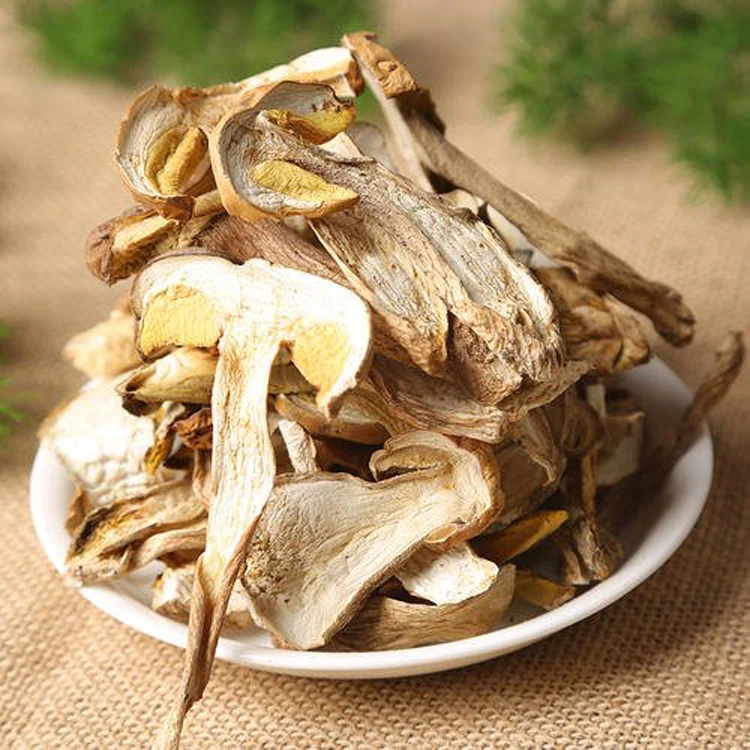 
Delicious boletus edulis porcini mushroom 