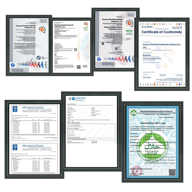 Crispy Fruits Chips Freeze Dried Mango No Sugar